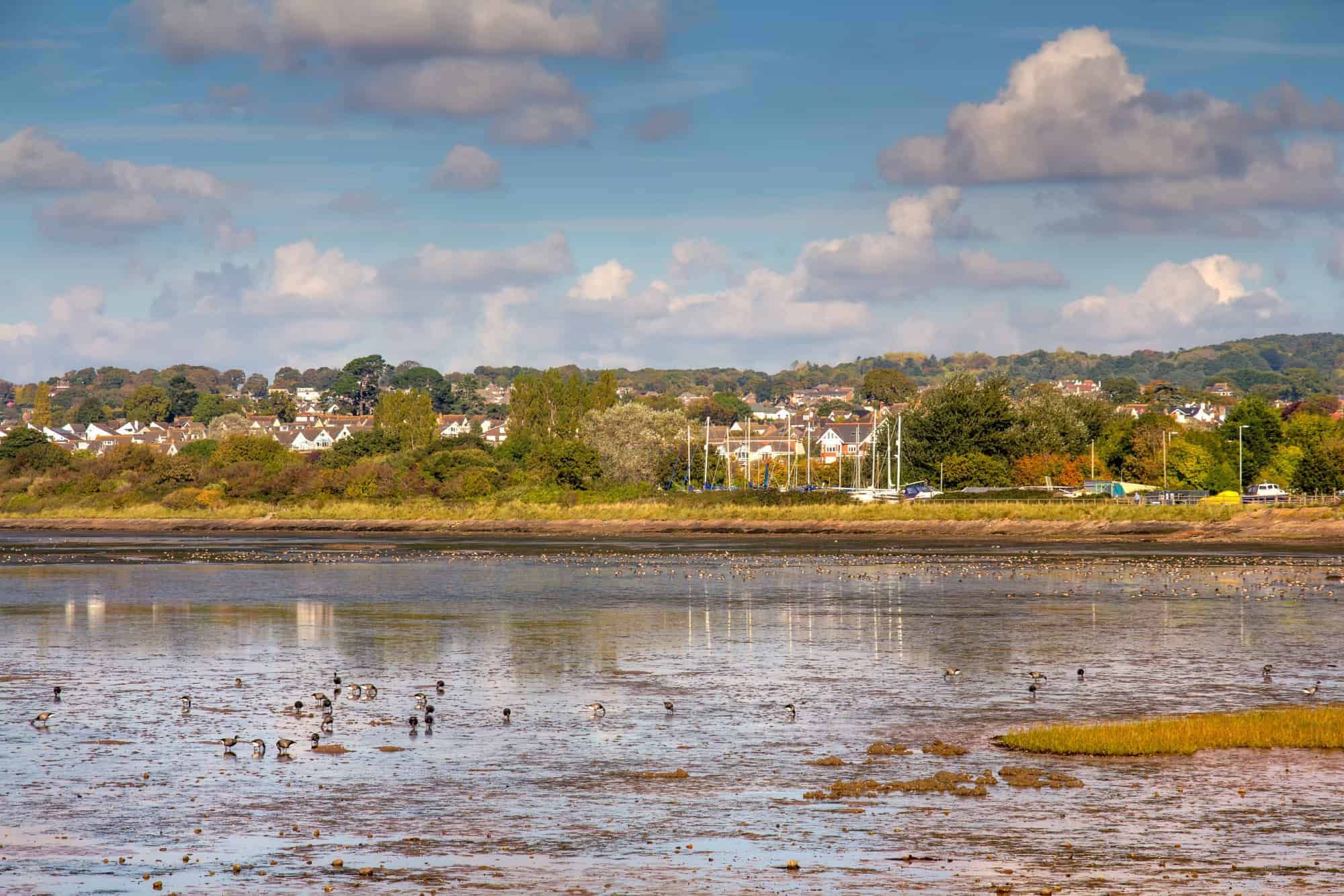 22 things to do in Exmouth with kids Devon with Kids