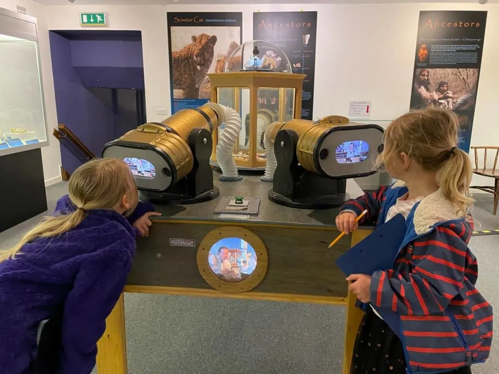 Interactive display in the Ancestors Gallery