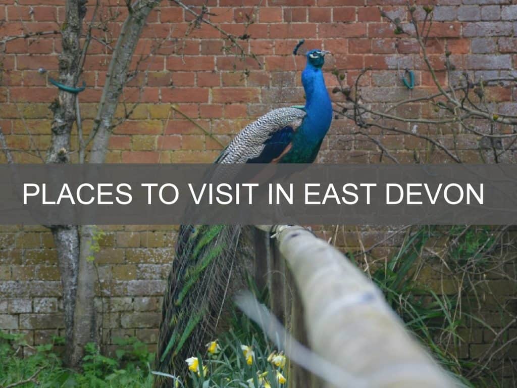 Places to visit in East Devon