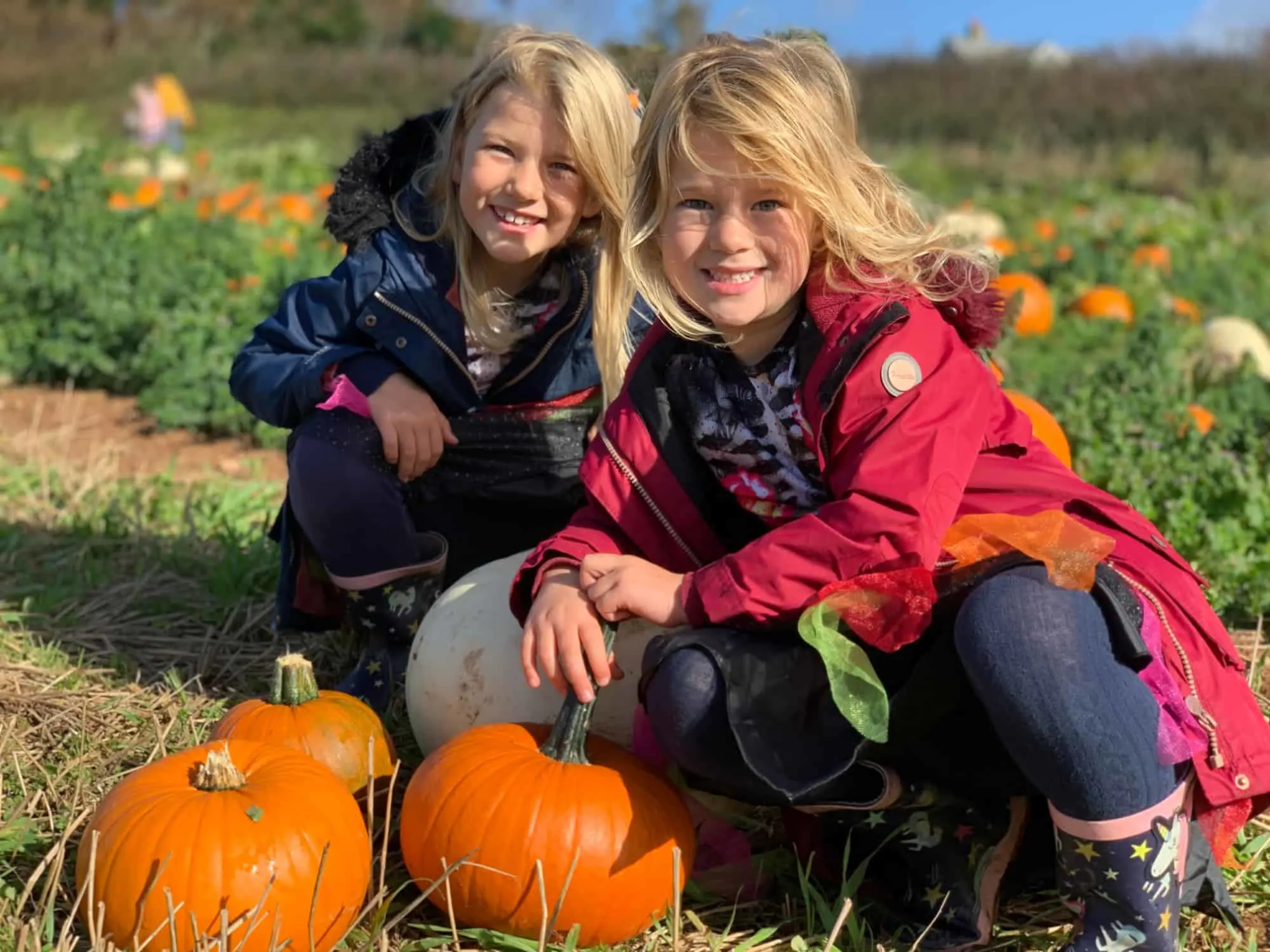 Children crouching over pumpkins in Halloween fancy dress