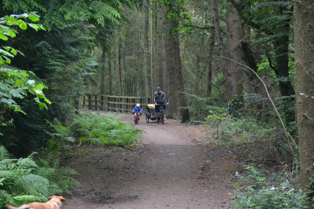 Riding through forest