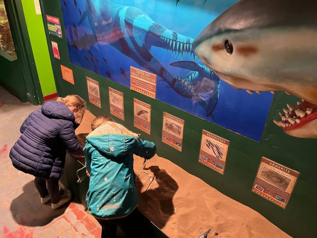 Children digging for fossils in sand pit
