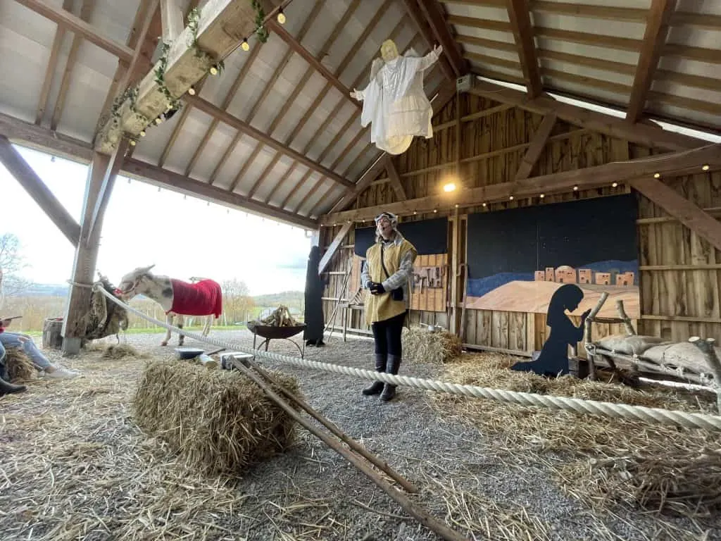 Nativity scene at Pennywell Farm