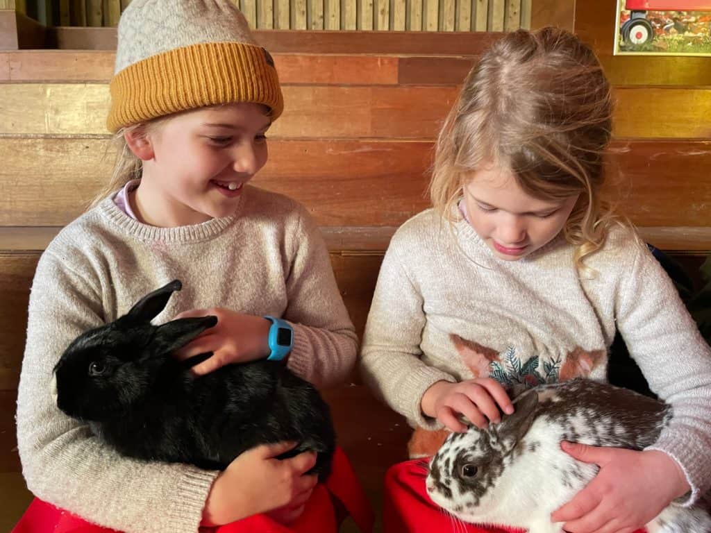 Children holding rabbits on their laps