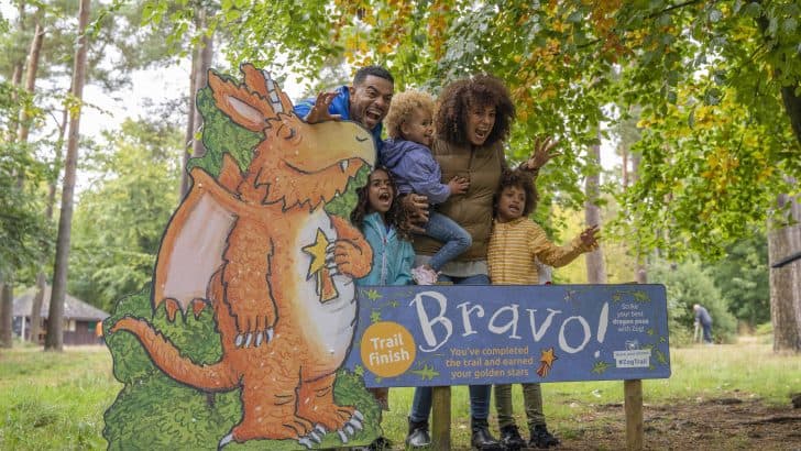 Zog Trail at Haldon Forest, Devon