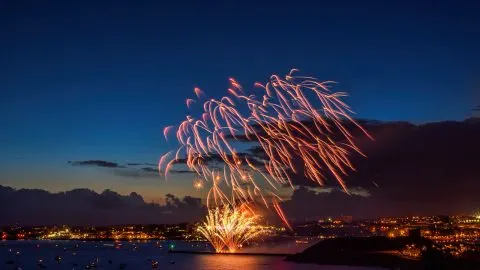 Things to do in Devon in November 2025