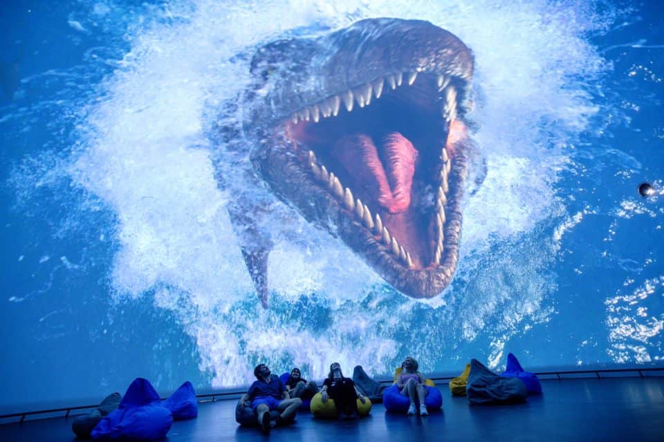 Things to do in Devon in February half term 2025 Devon with Kids