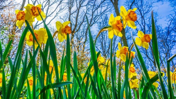 What’s on in Devon in March 2025