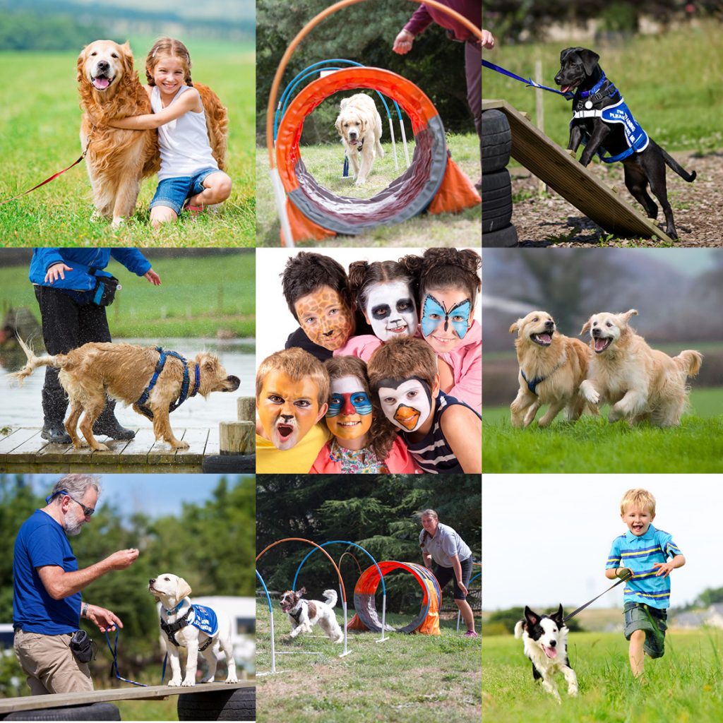 Collection photos of dogs doing agility, playing, and face painted children