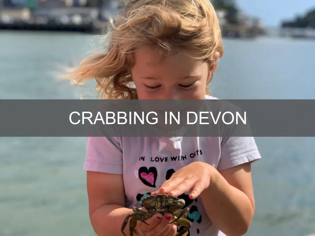 Crabbing in Devon