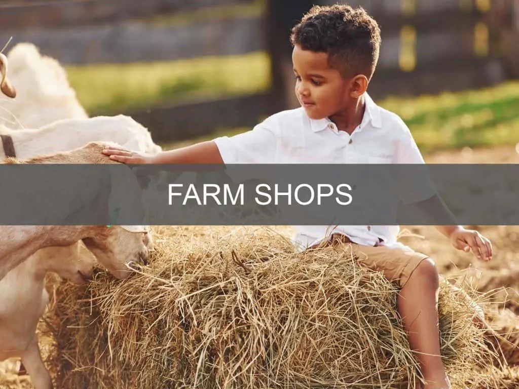 Farm shops in Devon