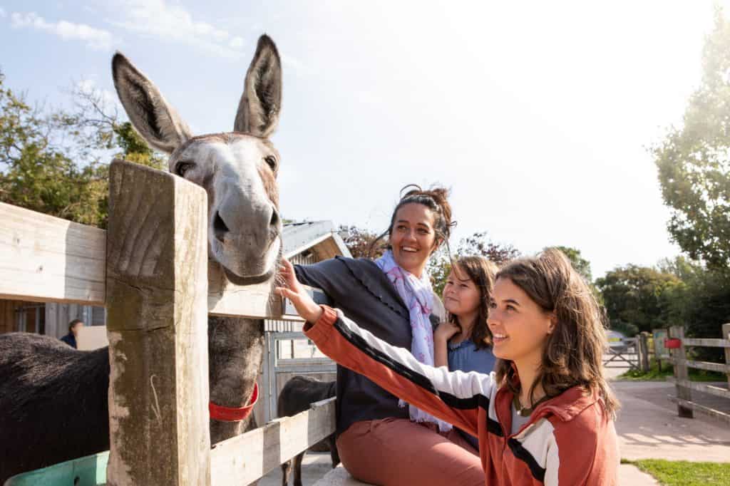 Family meeting donkey at The Donkey Sanctuary Sidmouth