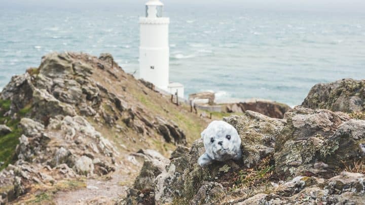 Things to do in the South Hams