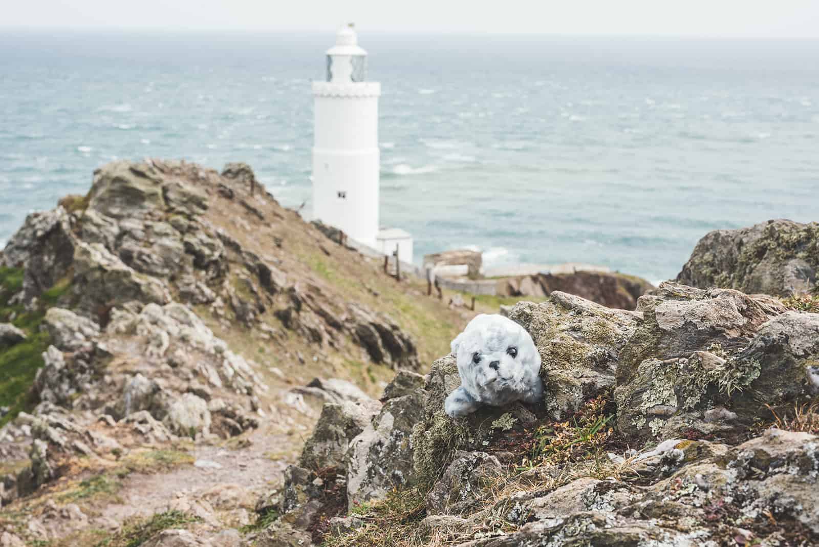 Sammy the Seal plush toy on rocks overlooking Start Point Lighthouse in the South Hams