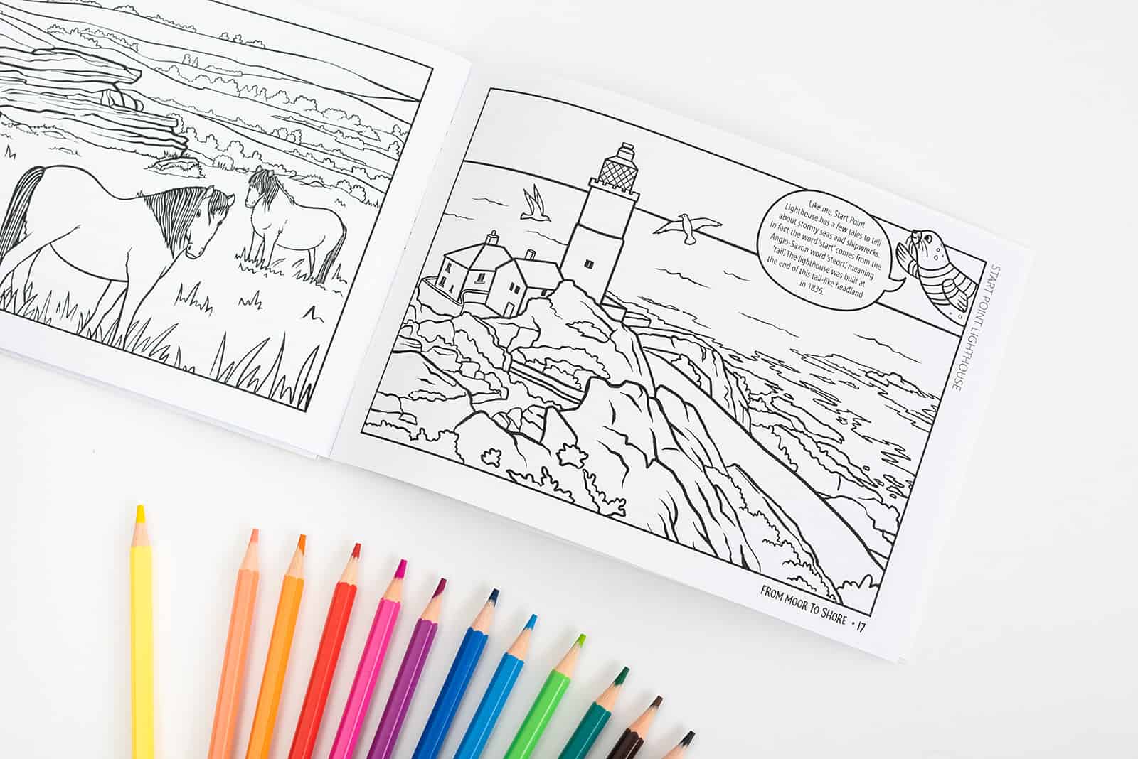 Pages of the South Hams Colouring Book for Kids with pencils fanned out below