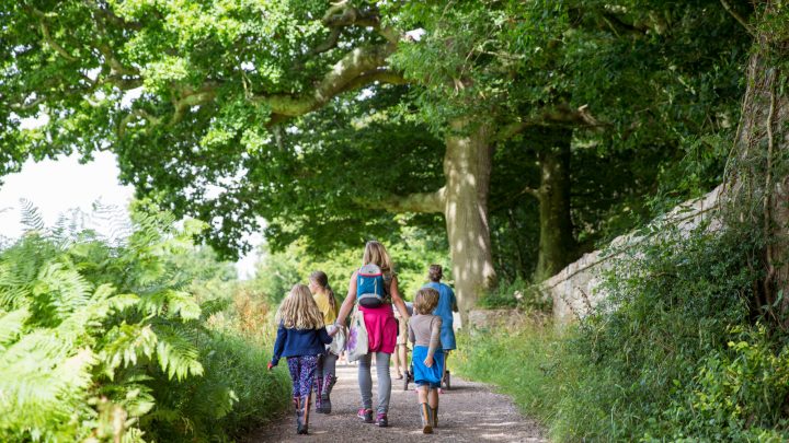 Family events at Dartington Estate this summer