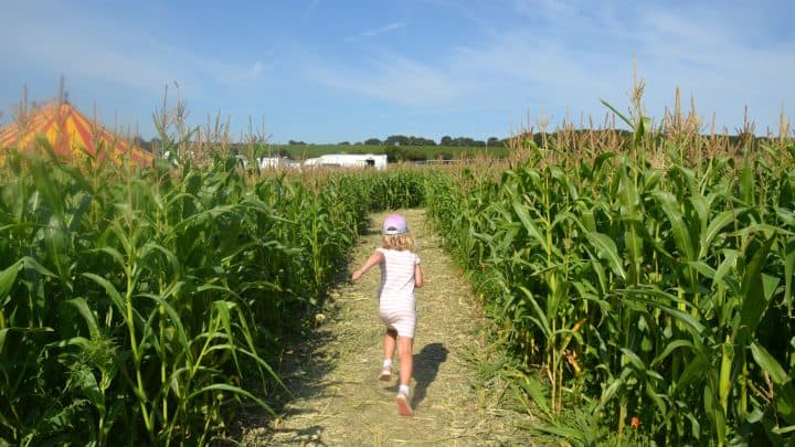 Where to find mazes in Devon 2025