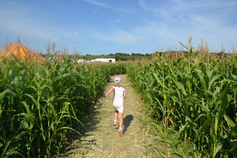 Child running through maze