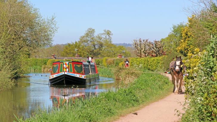 18 things to do in Mid Devon for families