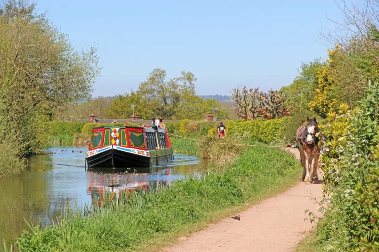 Canal boat being towed along the Grand Western canal at Tiverton by a horse