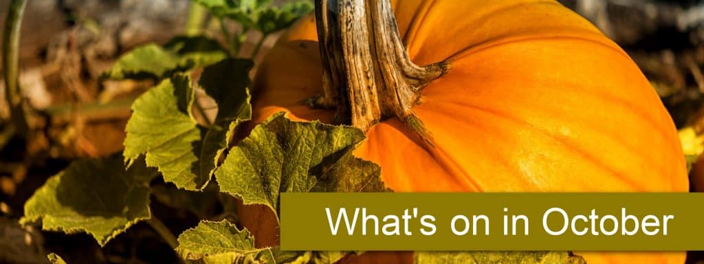 October in Devon