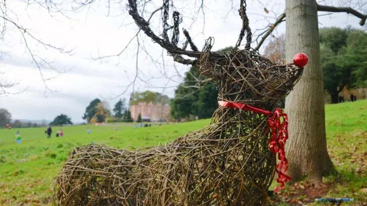 Wicker reindeer sculpture in the grounds of Killerton at Christmas