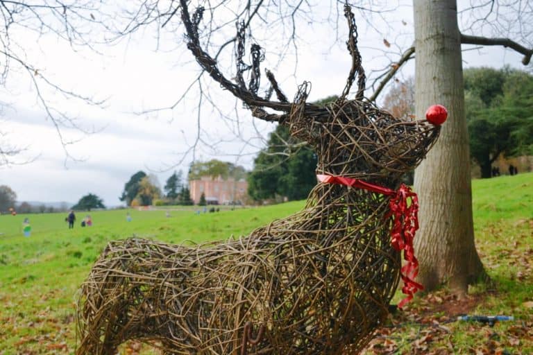 Wicker reindeer sculpture in the grounds of Killerton at Christmas