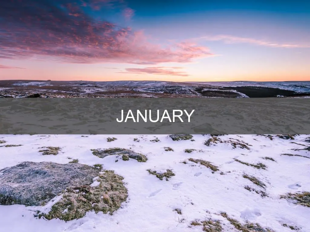 What's on in Devon in January button