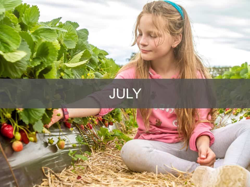 Mustsee events in Devon 2025 Devon with Kids