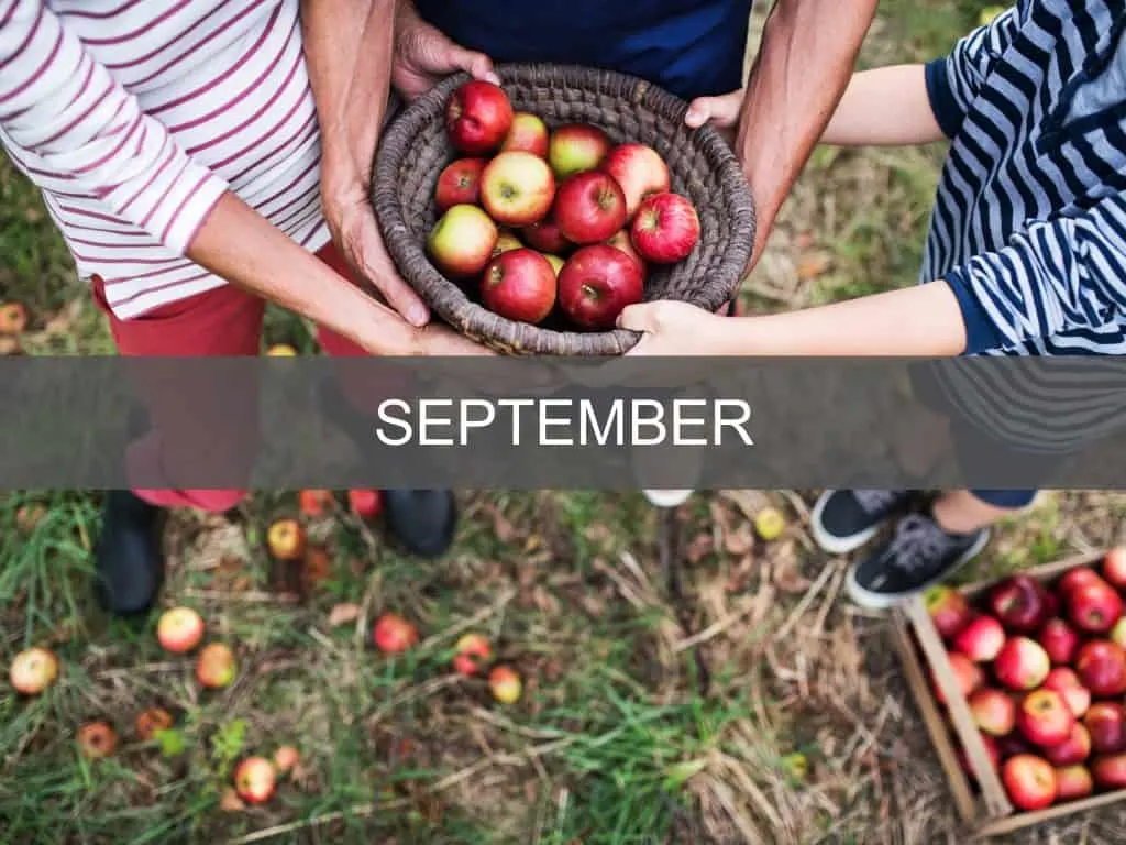What's on in Devon in September button