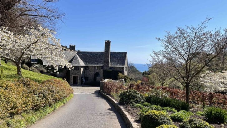 Drive way approaching Coleton House in Devon