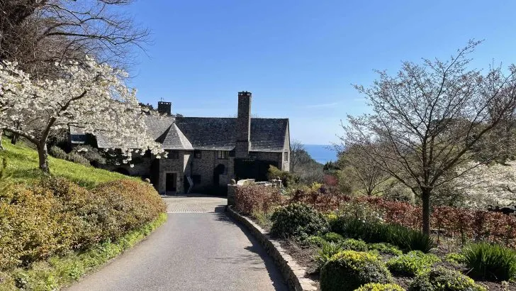 Drive way approaching Coleton House in Devon