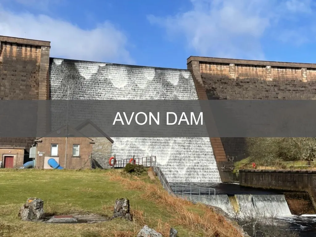Avon Dam button