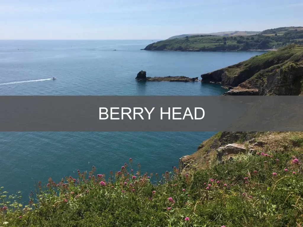 Berry Head button