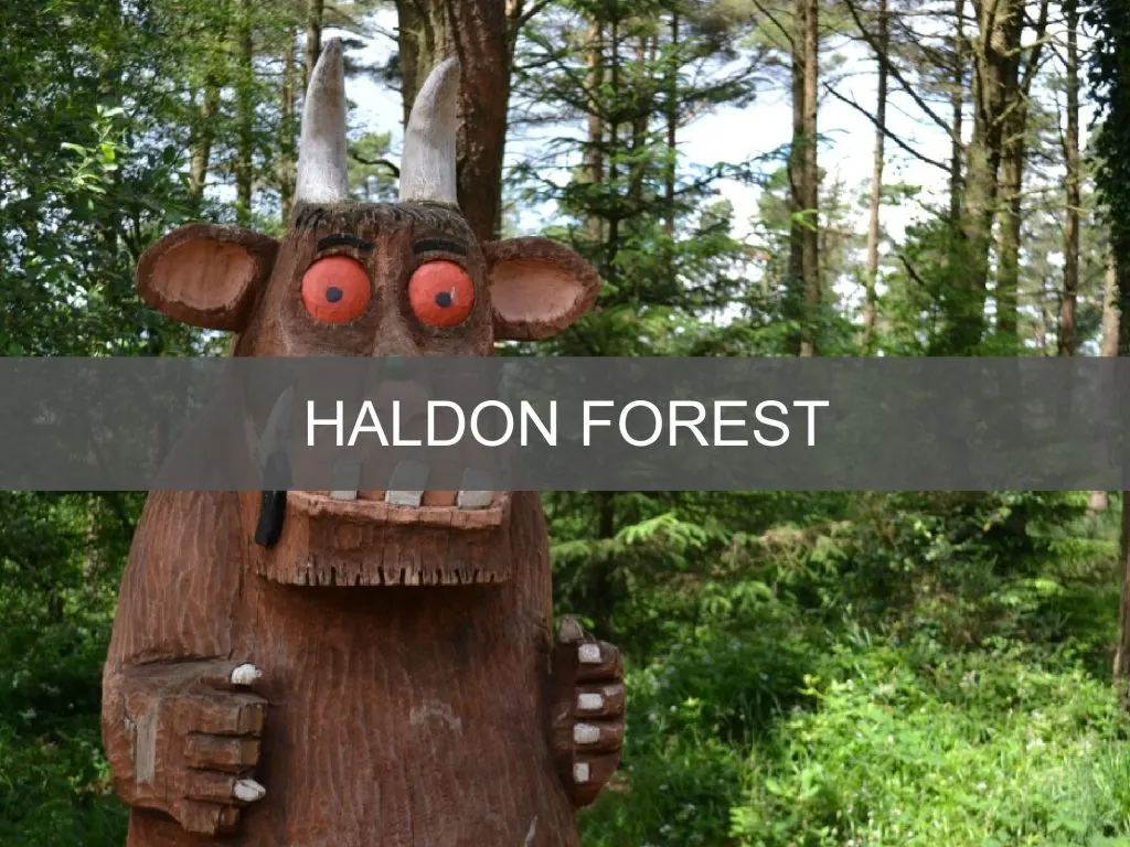 Haldon Forest walk button