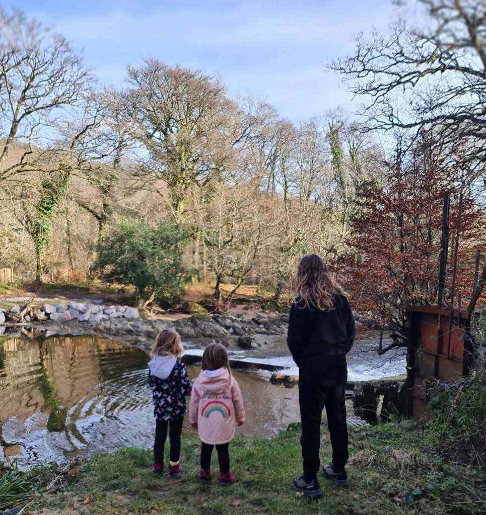 Teen and two younger cousins looking at the River Dart