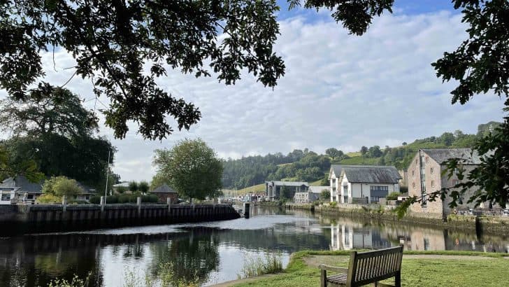 26 things to do in Totnes with kids