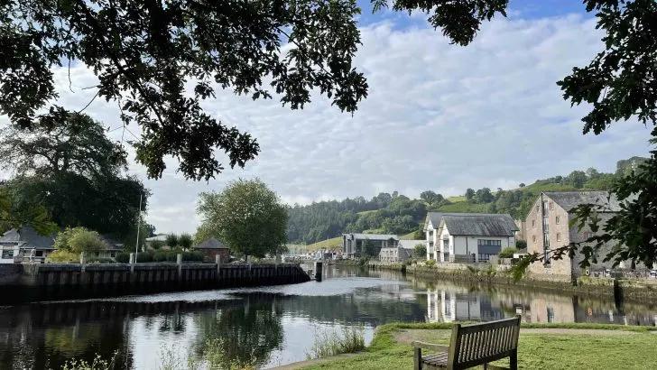 A view of the river dart from a grassy island