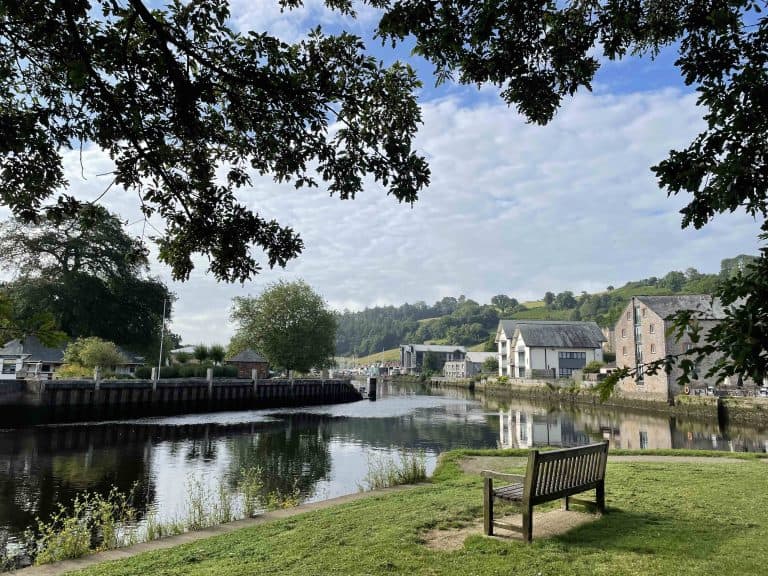 A view of the river dart from a grassy island