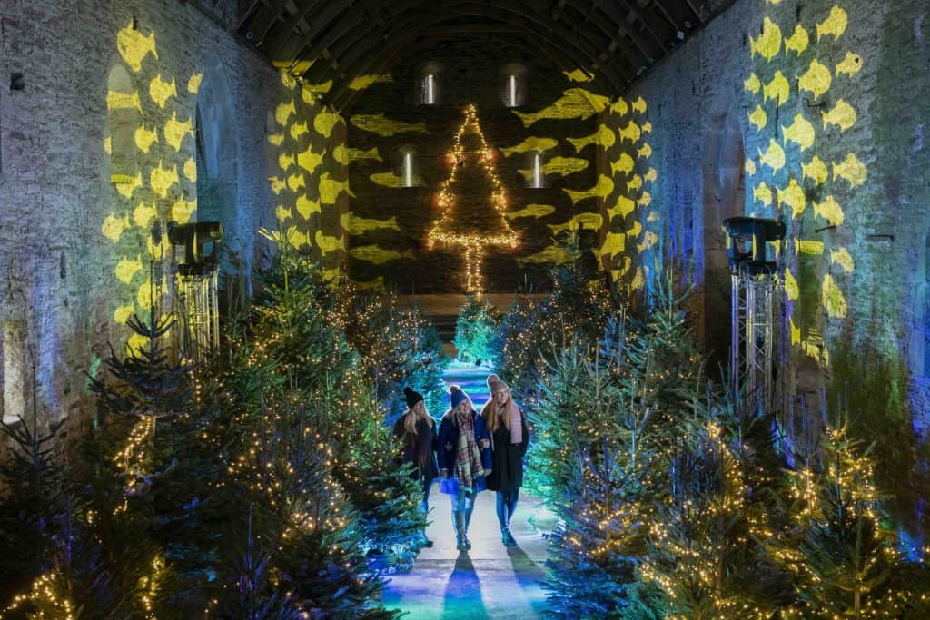 The Great Barn at Buckland Abbey, near Plymouth opens its doors for Christmas  with over a hundred twinkly trees and watery light illuminations. 