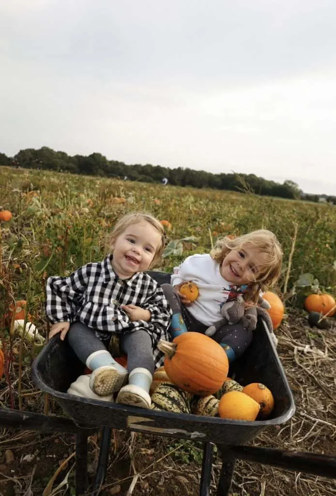 Children playing in a pumpkin field