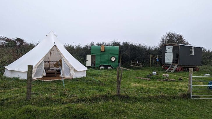 Camp Isobel with a bell tent, horse box and shepherds hut
