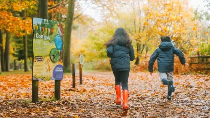 Two children dressed for cold weather running down leaf covered path in forest