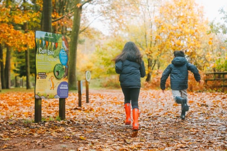 Two children dressed for cold weather running down leaf covered path in forest
