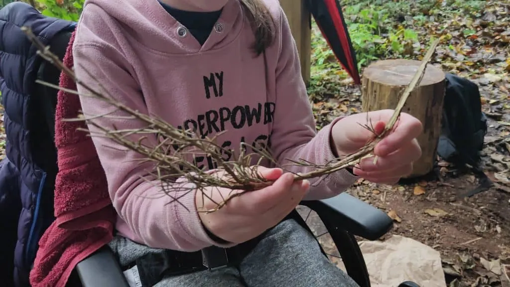 Child in wheelchair holding kindling in a woodland setting