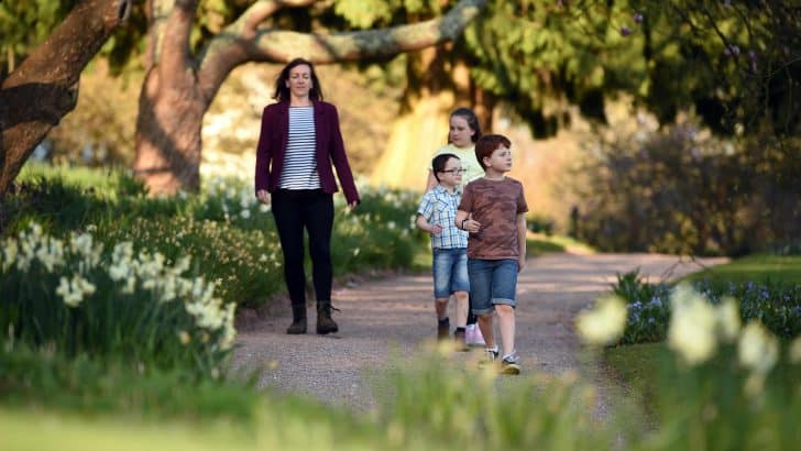 Visitors in the garden in spring at Killerton, Devon