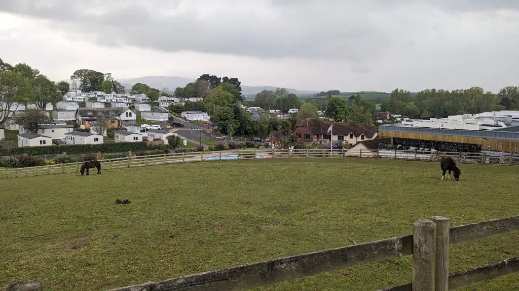 The horse's paddock at Cofton Holidays in Dawlish