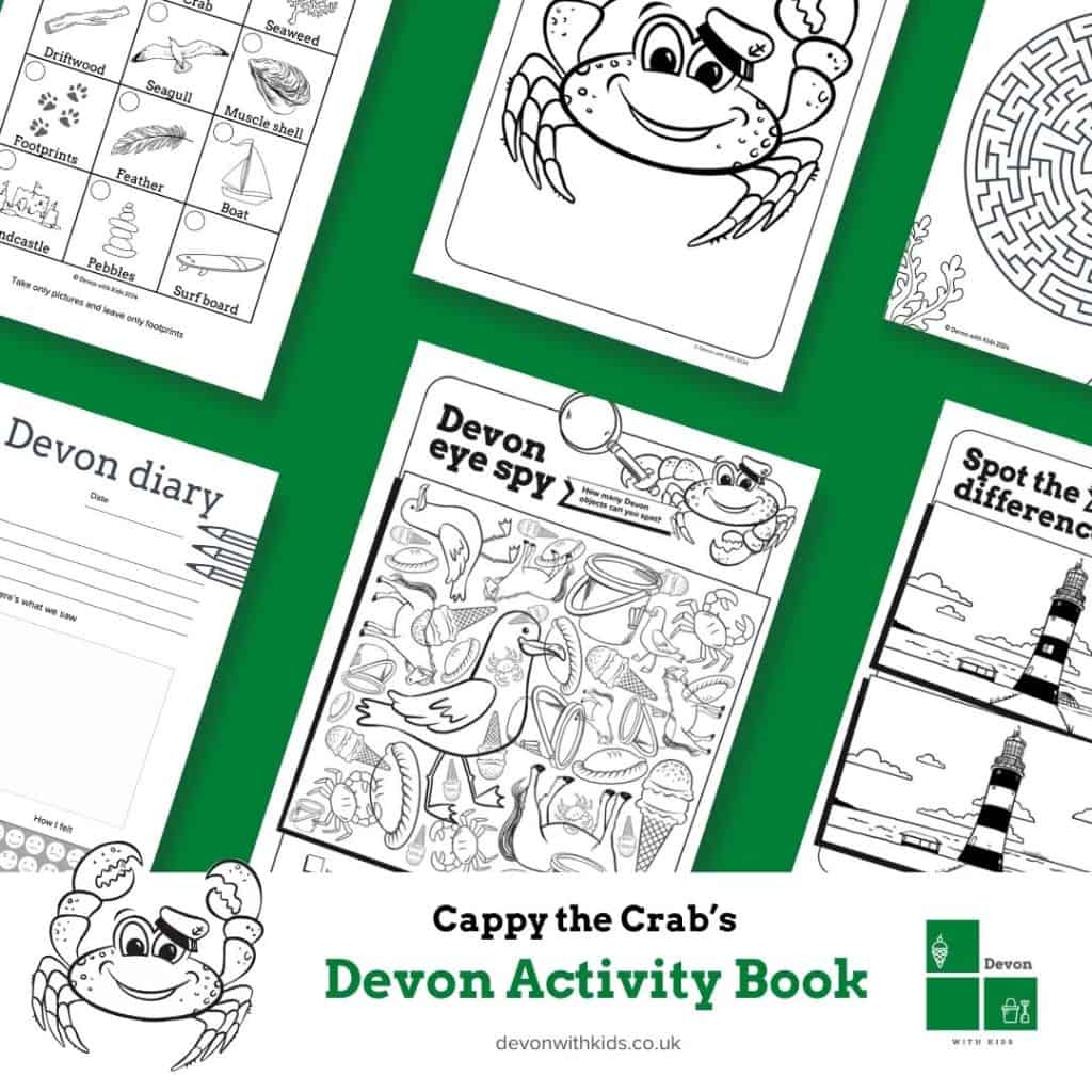 Devon activity book cover for shop