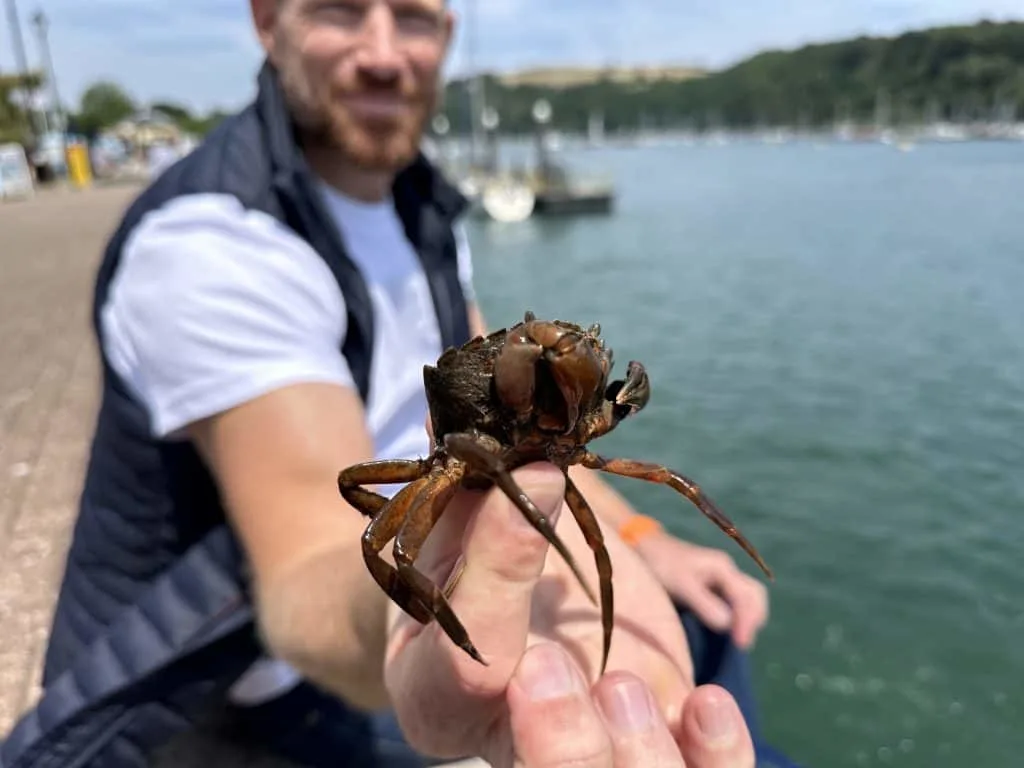 Man holding crab on the banks of the River Dart