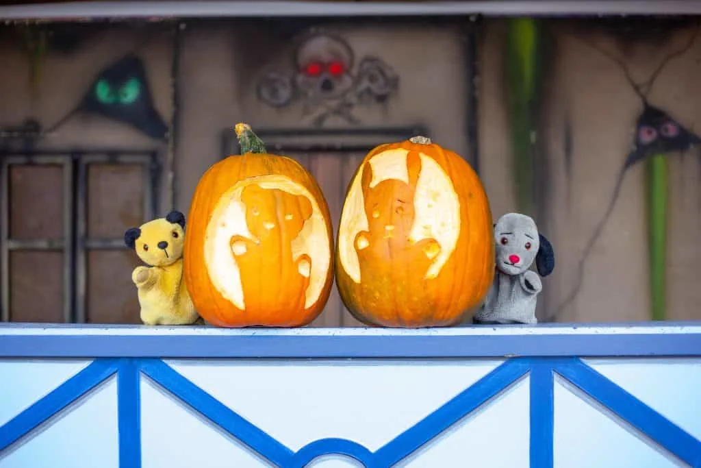 Sooty and Sweep puppets sat with pumpkins with their likeness carved in to the flesh